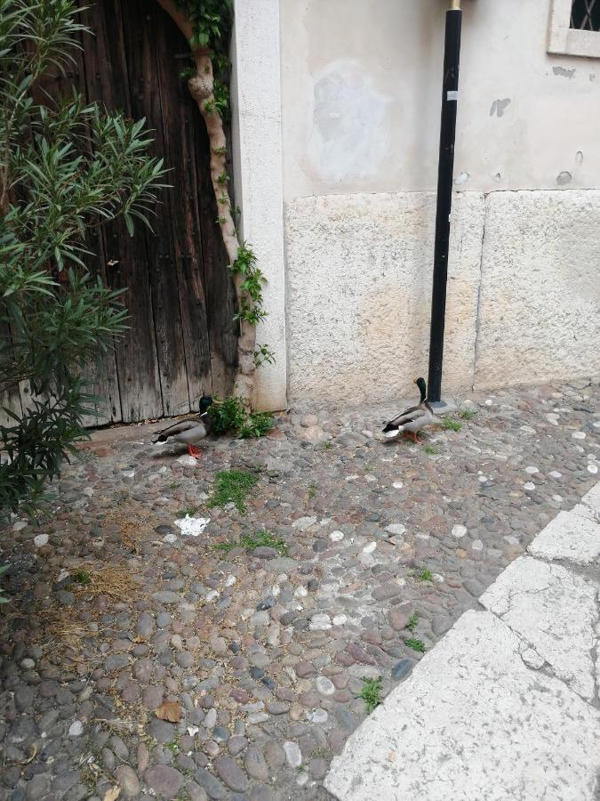 Verona Goddess House Exterior foto